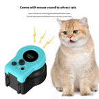 Interactive indoor cat toy with engaging feather & remote control
